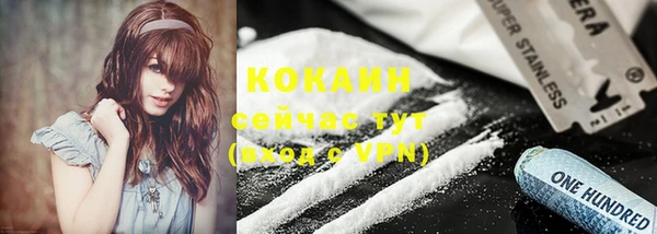 стаф Карпинск