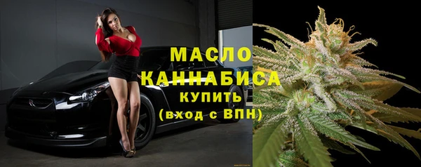индика Касимов