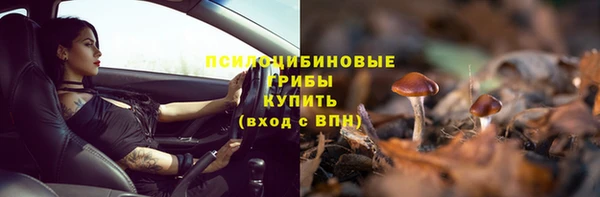 индика Касимов