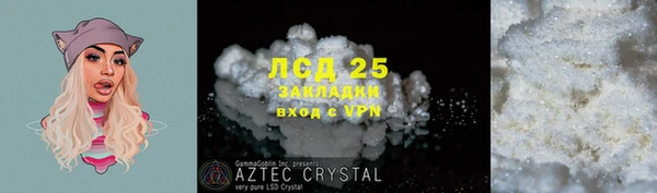 индика Касимов