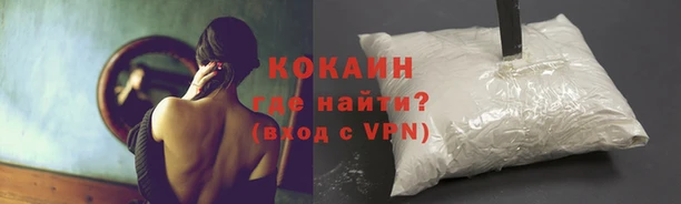стаф Карпинск