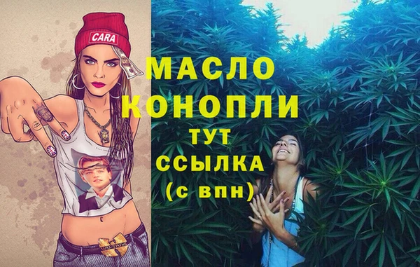 индика Касимов