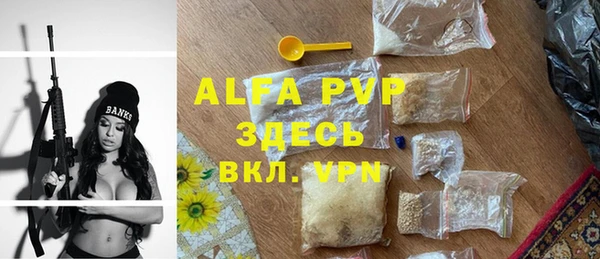 стаф Карпинск