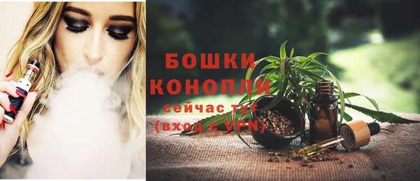 индика Касимов